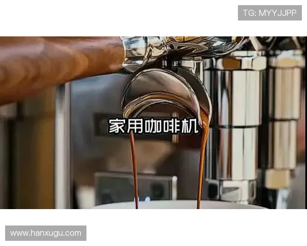 Z6网址娱乐安全可靠的使用指南与用户体验分享