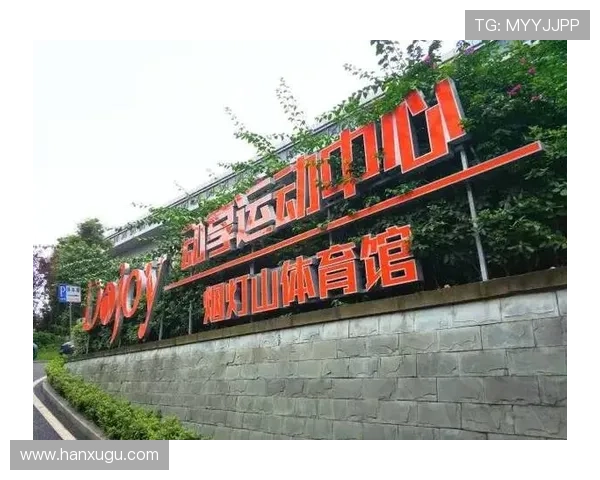 开云体育入口下载程序安装攻略，轻松开启专业体育竞猜新体验