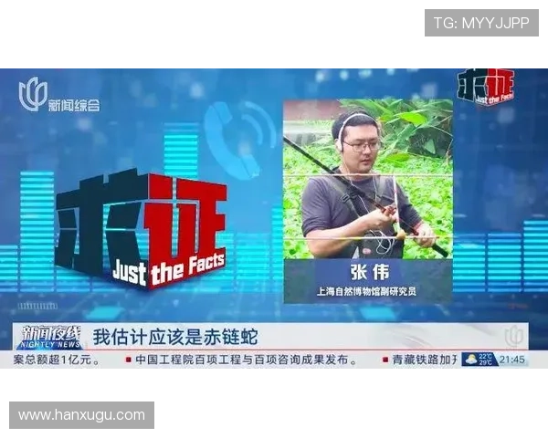 尊龙网站登录遇到问题怎么办，详细解决方案与常见问题解答