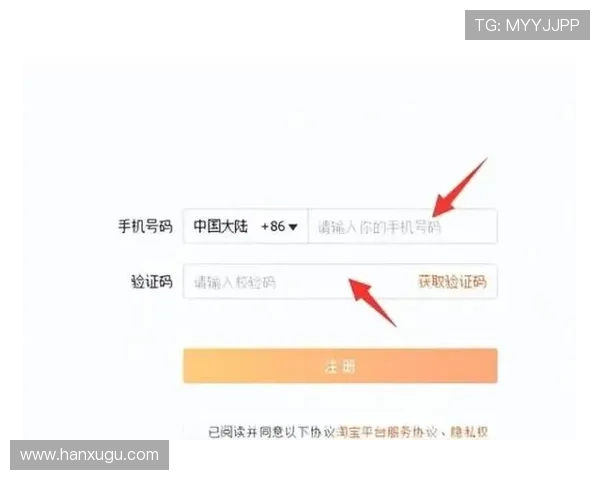壹乐娱乐app官方网站详细指南帮助用户轻松注册登录与账号管理